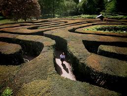 Then there are indoor mazes, plain air mazes, hedge mazes, corn mazes and so on. The Lure Of Getting Lost Why Mazes Draw Us In