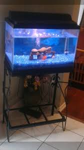 We will be covering topics from the choice of tank, to the environment and equipment needed. Can This Stand Support A 10 Gallon On Second Floor Carpet Floor Aquariums