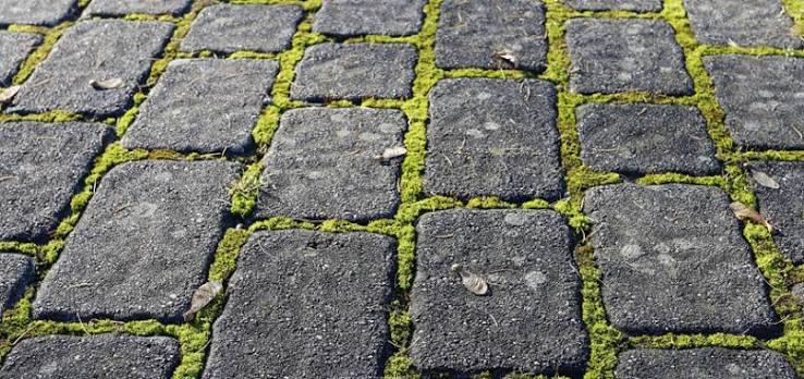 Moss removal from a driveway