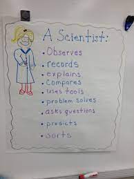 What Is A Scientist What Does A Scientist Do Anchor Chart What Is Science Interactive Science Notebook What Is A Scientist