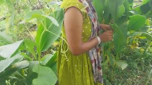 Desi Bhabhi in the fields- The thirst of youth hidden in green grass! -  XNXX.COM