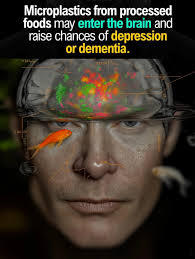 The rice cooker is unhappy for releasing micro plastics into people's  bodies.