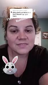 Eves First Rabbit Review