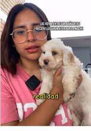 Cachorros En Adopción Trujillo Septiembre 2025