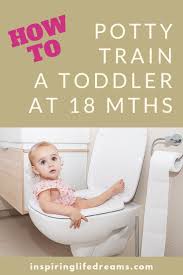 Firstborn children also tend to take longer to learn than their younger siblings, who pick up cues from the older kids. Potty Training Boys Age 2 Potty Training Techniques Potty Training Age Statistics Potty Tra Early Potty Training Potty Training Girls Potty Training Boys