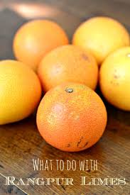 What to Do with Rangpur Limes - West of the Loop