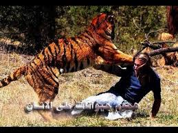 زيارة إلى المنطقة التي يأكل فيها البشر نباتات مفترسة. Ø£Ù‚ÙˆÙ‰ Ù…Ù‚Ø§Ø·Ø¹ Ù…Ù† Ù‡Ø¬ÙˆÙ… Ø­ÙŠÙˆØ§Ù†Ø§Øª Ø¹Ù„Ù‰ Ø§Ù„Ø§Ù†Ø³Ø§Ù† Ø´ÙŠØ¦ Ù„Ø§ ÙŠØµØ¯Ù‚ Youtube