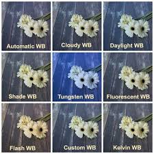 Comparison Of Images Taken With Different White Balance Settings Photography T White Balance Photography Wedding Photography Cameras Wedding Photography Tips