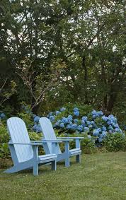 What S In Bloom June 29 2012 Blue Garden Blue Adirondack Chair Blue Hydrangea