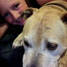 Danielle Stanovich's Instagram, Twitter & Facebook