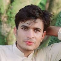 500+ "Amjid Ali" profiles