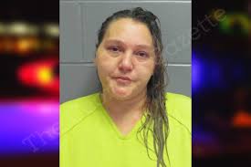 Ashleigh Vinson — Lee County Jail Bookings