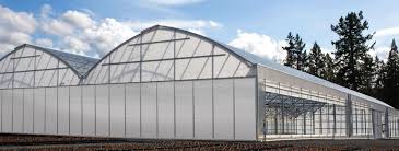 Polycarbonate panel color for greenhouse roof. Polycarbonate Panels For Greenhouse Garden Palram Americas