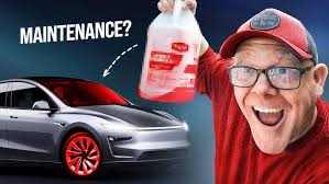 Choosing the Perfect Tesla Model Y: Performance or Long Range?