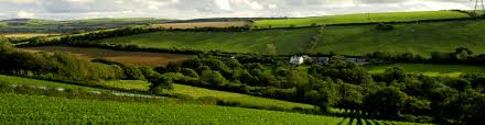 Woodland paradise with acres of wildlife, river birds, foxes and deer. About Camel Valley