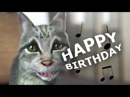 Happy birthday gal, i am political enough to remember your birth date but to forget your age. Cute But Funny Cat Sings Happy Birthday Youtube
