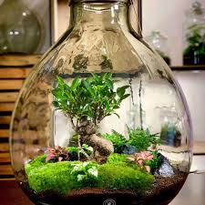 The globe and the clock stand on a stack of books, next to a glass of pencils and the pyramid is folded with wooden cubes and the figure of a wooden man. Ideas For Plants In Terrariums