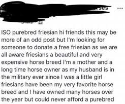 Military Wife Asking For Someone To Donate A Purebred Horse Needs Punctuation More Than Anything Horses Pure Bred Military Wife