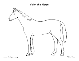 Free horse herd animal printable coloring pages download. Horse