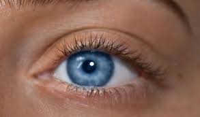 Premium Eyelash Extensions & Lash Lift Service in Haywards Heath