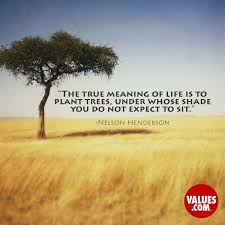 Inspirational Legacy Quotes Quotesgram