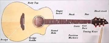 Acoustic guitar parts and functions. Parts Of A Guitar Diagram Showing All Guitar Parts