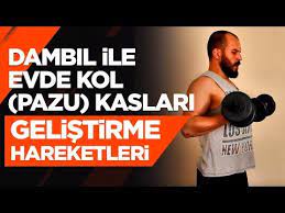dambil ile evde kol kasi pazu hareketleri youtube kol kaslari koltuklar youtube