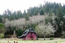From redwood forest vacation cabins along the coast to secluded cabins in the redwoods, any redwood cabin rent al would make for a great family weekend getaway in california. Cabins Cottages