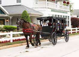 The best places to stay include the van buren hotel, blue garden inn, farmstead inn, and amish acres. Experience Shipshewana S Amish Country Visit Indiana