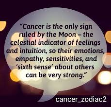 Here are the zodiac signs that are cancer soulmates, and the perfect love match for relationships cancer zodiac signs seek out powerful and emotional soulmates in a relationship. 100 Crabby Cancers Ideas Cancer Astrology Cancer Cancer Horoscope