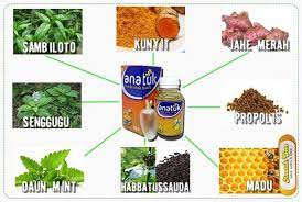 Obat Batuk Alami Anak Anak Herbal Herbal Alami
