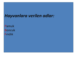 Buyuk Harflerin Kullanimi Ppt Indir