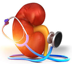 As kidney function declines waste products can build. Chronic Kidney Disease Stage 3 National Kidney Foundation Of Wisconsin