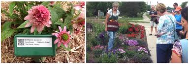 Click here to order flowers for any occasion! Teaching Garden Extension Dane County