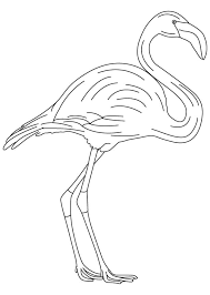 Feel free to print and color from the best 11+ flamingo coloring pages at getcolorings.com. Cute Baby Flamingo Coloring Pages Cute Baby