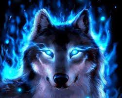 cool wolf wallpapers top free cool