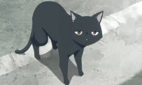 Anime rule #11 by artdrift on deviantart. Black Cats In Anime Posted By Samantha Walker
