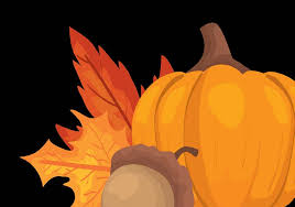 Behold, I am doing a new thing; now it springs forth, do you not perceive  it? I will make a way in the wilderness and rivers