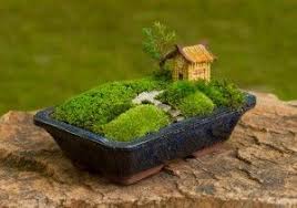 Plant A Japanese Dish Garden 31 Days Of A Sparkling Vintage Fall Day 7 Mini Zen Garden Miniature Garden Moss Garden