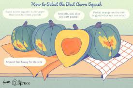 When to pick acorn squash from garden. Acorn Squash Selection And Storage Information