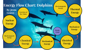 Energy Flow Chart Geaney By Jenna Geaney On Prezi Next