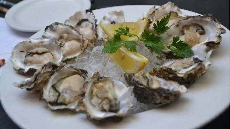 Fresh Oysters