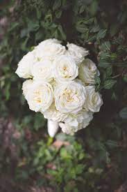 Bigger and fresher blooms from farms. Simple White Garden Rose Round Bridal Bouquet