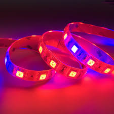 Epistar Smd2835 Leds Led Rope Plant Grow Light Strip Lighting Red Blue 3 1 4 1 5 1 6 1 7 1 9 1 Led Grow Light Strip 12v Dc Buy Led Grow Light Led Plant Grow