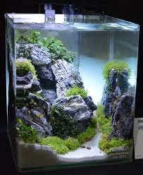 4 Inspirasi Desain Aquascape Sederhana Blog Qhomemart