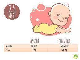 شيفرة مورس وحشية مجموعة مصفوفة quanto pesa un neonato di 6 mesi amazon -  muradesignco.com