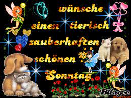 Samstags bilder winter bilder winter wochenende schönen sonntag gruß bilder gbpicsbildercom. Schonen Sonntag Gif Bilder Bilder Und Spruche Fur Whatsapp Und Facebook Kostenlos