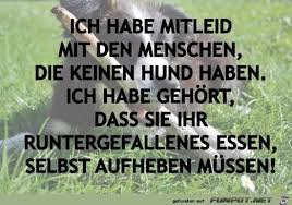 Lustiges Bild 39 Ich Habe Mitleid Jpg 39 Eine Von 19412 Dateien In Der Kategorie 39 Klasse Spruche Und Witze 39 Auf Funpot Funny Words Humor Words