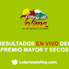 La lotería del tolima nace en 1925, denominandose lotería de beneficencia del tolima, a fin de constituir una nueva renta departamental cuyo producto era destinado en su totalidad a la asistencia pública. 1