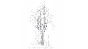 We did not find results for: Desen In Creion Cu Copac Toamna Easy Pencil Drawing Fall Tree How To Draw A Tree Youtube